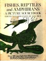 FISHES,REPTILES AND AMPHIBIANS A PICTURE SOURCEBOOK EDITED AND ARRANGED BY DON RICE PDF电子版封面 0442211961