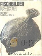 FISCH BILDER LEXIKON BAND 2 MEERESFISCHE PDF电子版封面 3570058425