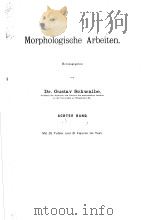 MORPHOLOGISCHE ARBEITEN ACHTER BAND 1898 PDF电子版封面