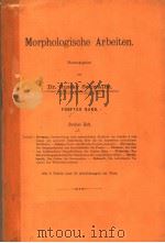 MORPHOLOGISCHE ARBEITEN FUNFTER BAND ZWEITES HEFT 1895 PDF电子版封面
