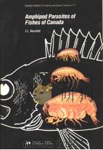 AMPHIPOD PARASITES OF FISHES OF CANADA 1987 PDF电子版封面 0660124882 E.L.BOUSFIELD