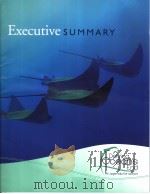 EXECUTIVE SUMMARY（ PDF版）