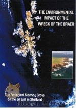 THE ENVIRONMENTAL IMPACT OF THE WRECK OF THE BRAER（ PDF版）