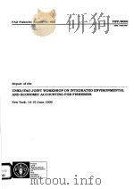 UNSD/FAO JOINT WORKSHOP ON INTEGRATED ENVIRONMENTAL AND ECONOMIC ACCOUNTING FOR FISHERIES FAO FISHE PDF电子版封面 9251043493