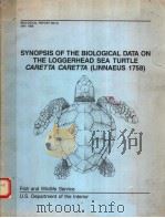 SYNOPSIS OF THE BIOLOGICAL DATA ON THE LOGGERHEAD SEA TURTLE CARETTA CARETTEA(LINNAEUS 1758) PDF电子版封面 C.KENNETH DODD