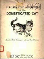 ILLUSTRATED ANATOMY OF THE DOMESTICATED CAT PDF电子版封面 FRANCISCO G.DE GUZMAN AND AURO