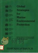 GESAMP REPORTS AND STUDIES NO.45 GOLBAL STRATEGIES FOR MARINE ENVIRONMENTAL PROTECTION PDF电子版封面
