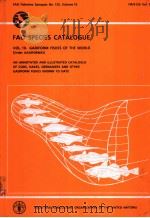 FAO FISHERIES SYNOPSIS NO.125 VOLUME 10 FAO SPECIES CATALOGUE VOL.10:GADIFORM FISHES OF THE WORLD PDF电子版封面 9251028907 DANIEL M.COHEN TADASHI INADA