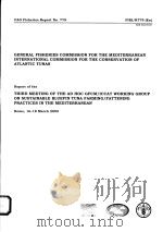 FAO FISHERIES REPORT NO.779  REPORT OF THE THIRD MEETING OF THE AD HOC GFCM/ICCAT WORKING GROUP ON S（ PDF版）