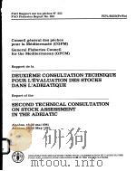 FAO FISHERIES REPORT NO.253 DEUXIEME CONSULTATION TECHNIQUE POUR L‘EVALUATION DES STOCKS DANS L‘ADR PDF电子版封面 9250010826