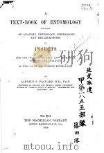 A TEXT-BOOK OF ENTOMOLOGY PDF电子版封面 ALPHEUS S.PACKARD