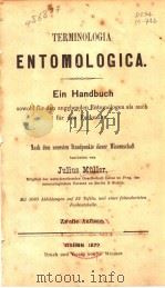 TERMINOLOGIA ENTOMOLOGICA ZWEITE AUFLAGE 1872 PDF电子版封面 JULIUS MULLER