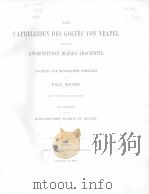 DIE CAPRELLIDEN DES GOLFES VON NEAPEL UND DER ANGRENZENDEN MEERES-ABSCHNITTE  1890（ PDF版）