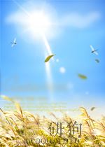 A HISTORY OF THE BIRDS OF CEYLON  VOL. 2（ PDF版）