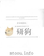 FISHES  1858（ PDF版）