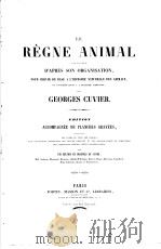 CUVIER,G. LE REGNE ANIMAL.LES CRUSTACES.ATLAS. PDF电子版封面
