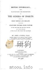 BRITISH ENTOMOLOGY BEING ILLUSTRATIONS AND DESCRIPTIONS OF THE GENERA OF INSECTS VOL.6 PDF电子版封面