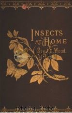 INSECTS AT HOME BEING A PLPULAR ACCOUNT OF BRITISH INSECTS THEIR STRUCTURE HABITS AND TRANSFORMATION PDF电子版封面 REV.J.G. WOOD