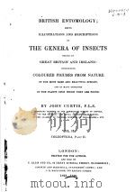 BRITISH ENTOMOLOGY  VOL.2（ PDF版）