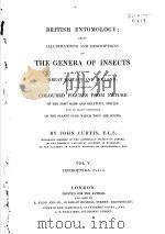 BRITISH ENTOMOLOGY  VOL.5（ PDF版）