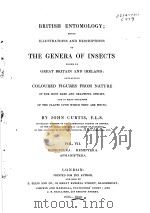 BRITISH ENTOMOLOGY  VOL.7（ PDF版）