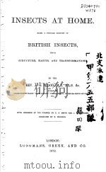 INSECTS AT HOME  1872（ PDF版）
