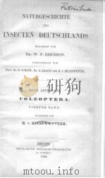 NATURGESCHICHTE DER INSECTEN DEUTSCHLANDS  4 1863（ PDF版）