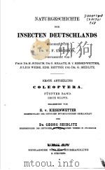 NATURGESCHICHTE DER INSECTEN DEUTSCHLANDS 6 1898 PDF电子版封面