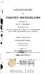 NATURGESCHICHTE DER INSECTEN DEUTSCHLANDS 7 1920 PDF电子版封面