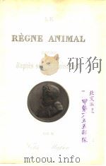 LE REGNE ANIMAL DISTRIRUE D‘APRES SON ORGANISATION GEORGES CUVIER 15（ PDF版）