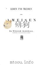 LEBEN UND TREIBEN DER AMEISEN VON DR WILLIAM MARSHALL     PDF电子版封面     