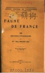 FAUNE DE FRANCE 58 PDF电子版封面 M ALICE PRUVOT FOL