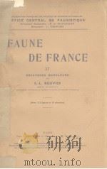 FAUNE DE FRANCE 37 PDF电子版封面 E.L.BOUVIER