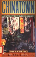 CHINATOWN A PORTRAIT OF A CLOSED SOCIETY PDF电子版封面 0060922133 GWEN KINKEAO