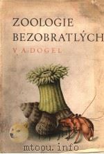 ZOOLOGIE BEZOBRATLYCH（ PDF版）