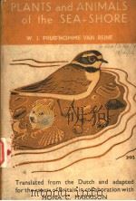 PLANTS AND ANIMALS OF THE SEA-SHORE（ PDF版）