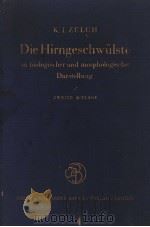 DIE HIRNGESCHWULSTE IN BIOLOGISCHER UND MORPHOLOGISCHER DARSTELLUNG PDF电子版封面 DR.K.J.ZULCH