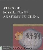 ATLAS OF FOSSIL PLANT ANATOMY IN CHINA PDF电子版封面 7030049004 LI CHENGSEN,CUI JINZHONG