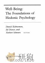 WELL-BEING:THE FOUNDATIONS OF HEDONIC PSYCHOLOGY PDF电子版封面 0871544245