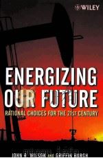 ENERGIZING OUR FUTURE:RATIONAL CHOICES FOR THE 21ST CENTURY PDF电子版封面 9780471790532 JOHN R.WILSON AND GRIFFIN BURG