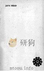 JAVA HEAD 1919 PDF电子版封面