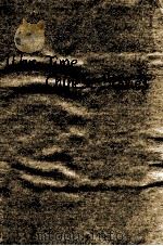 WAR-TIME CHINESE STORIES PDF电子版封面