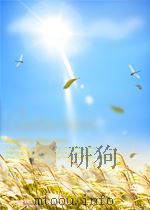 DIE ARBEITERJUGENDBEWEGUNG 1922 PDF电子版封面 KARL KORN