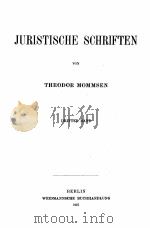 JURISTISCHE SCHRIFTEN DRITTER BAND 1907 PDF电子版封面