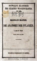 DIE ANATOMIE DER PFLANZEN 1901 PDF电子版封面