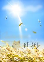 COLLOQUIUM MATHEMATICUM xl.1 1963 PDF电子版封面