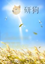 ACTA ARITHMETICA VIII.2 1963 PDF电子版封面