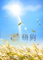 LECTURES ON MATRICES 1934 PDF电子版封面