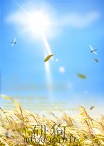 WHAT IS THE THEORY OF RELATIVITY PDF电子版封面 L. LANDAU AND Y. RUMER