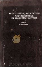FLUCTUATION（ PDF版）